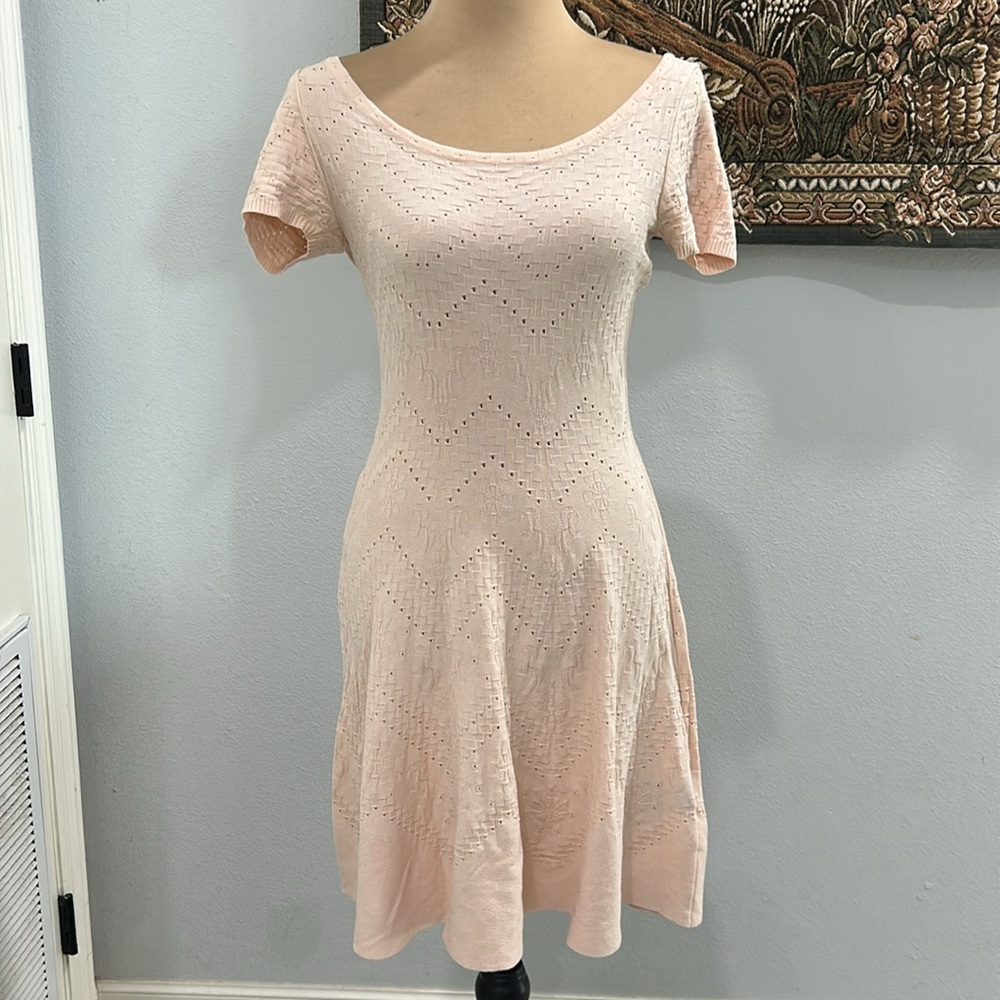 Bebe Blush Fit & Flare Skater Dress. Size S